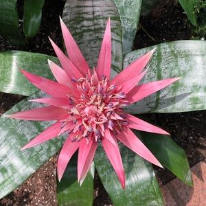 Meet your Posher, Stefanie